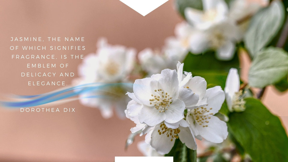 Sweet Jasmine Scent: The Romantic Mood Booster for Your Home