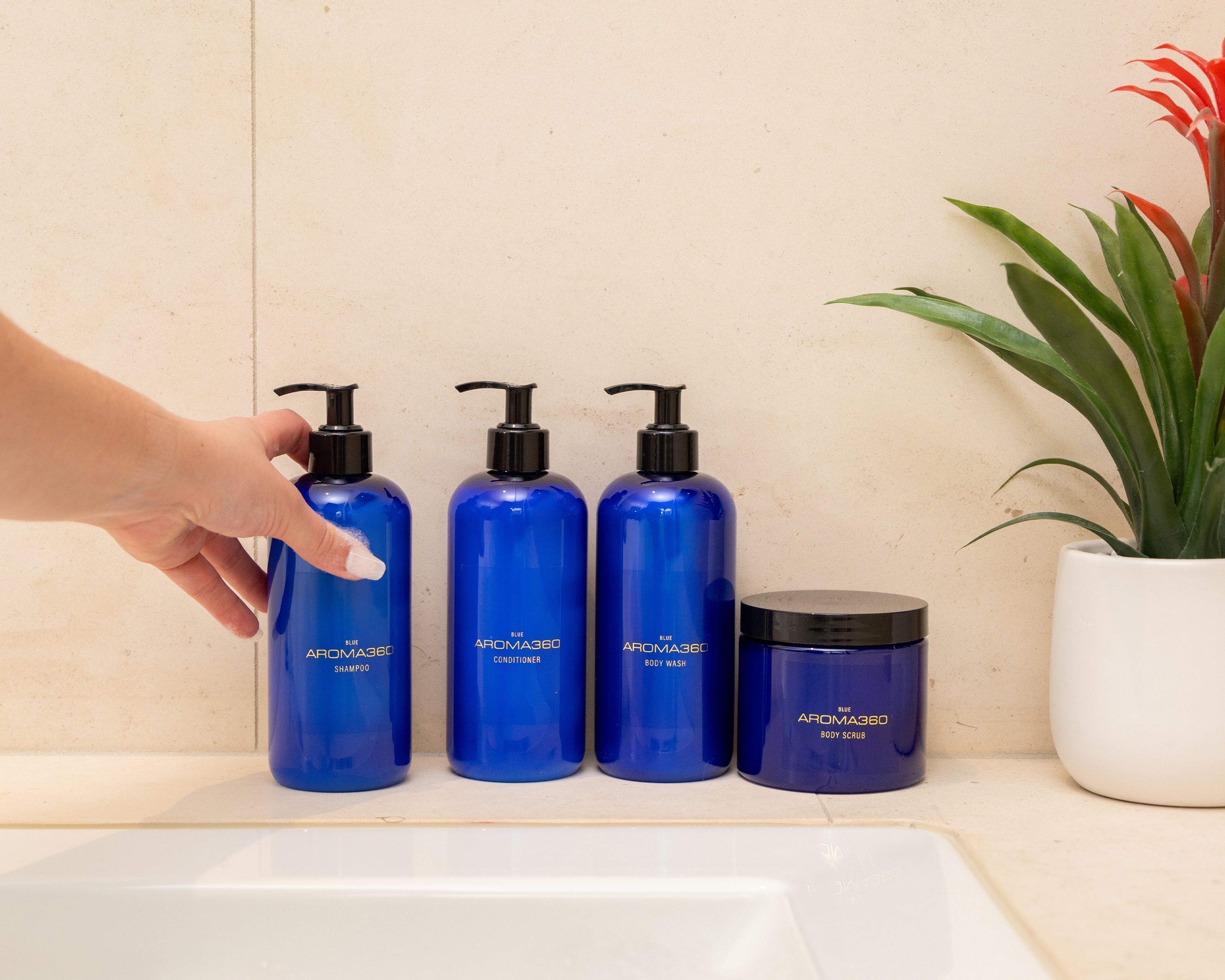 
                      
                        Blue Shampoo
                      